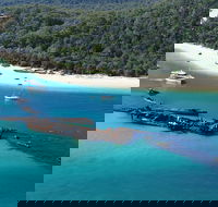 All Inclusive Tangalooma Wrecks Cruise Tour From Gold Coast - Accommodation Redcliffe
