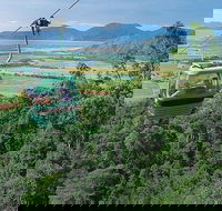Kuranda Day Tour TKS-RFS GRAND GOLD PLUS 0930 - Accommodation Redcliffe