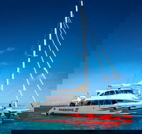 Passions of Paradise Great Barrier Reef Snorkel and Dive Cruise from Cairns by Luxury Catamaran - Accommodation Redcliffe