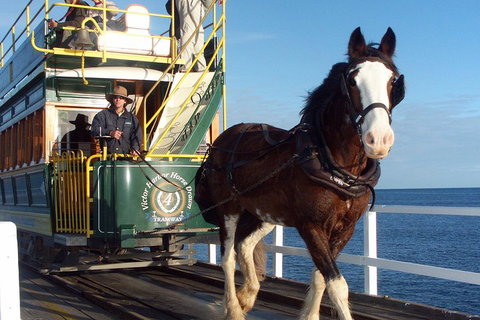 Full-Day Tour In South Australia Highlights - Accommodation Redcliffe 1