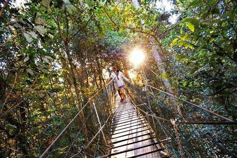 O'Reilly's & Lamington National Park From Brisbane - Accommodation Redcliffe 5