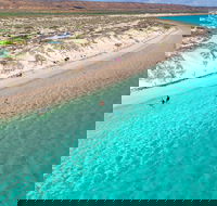 Ningaloo in a Day - Full Day Hike and Snorkel Tour with Lunch - Accommodation Redcliffe