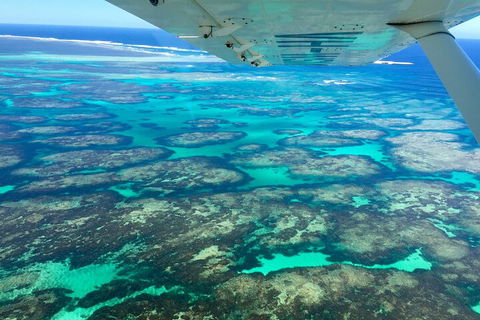 Kalbarri, Pink Lake And Abrolhos Islands Nature Tour - Accommodation Redcliffe 5