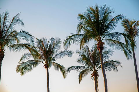 Darwin City Sightseeing Tour - Accommodation Redcliffe 0
