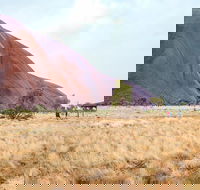 Uluru Sunrise and Guided Base Walk - Accommodation Redcliffe