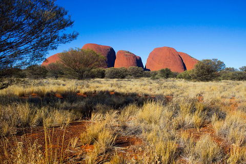 Kata Tjuta Sunrise And Valley Of The Winds Half-Day Trip - Accommodation Redcliffe 1