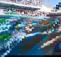 Great Barrier Reef Day Cruise from Cairns Including Snorkeling and Marine Biologist Presentation - Accommodation Redcliffe