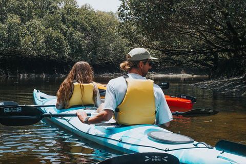 Kayak Tour In Adelaide Dolphin Sanctuary - Accommodation Redcliffe 2