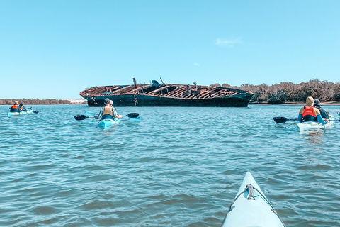 Kayak Tour In Adelaide Dolphin Sanctuary - Accommodation Redcliffe 3
