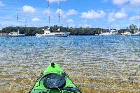 Kayak Tour In Adelaide Dolphin Sanctuary - Accommodation Redcliffe 4