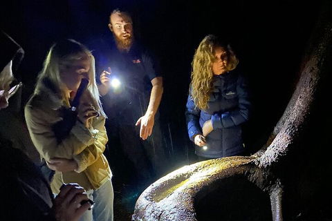 Evening Rainforest & Glow Worm Experience - Accommodation Redcliffe 2