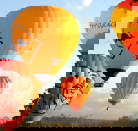 Natural Bridge  Springbrook Waterfalls Tour  Hot Air Balloon with Breakfast - Accommodation Redcliffe