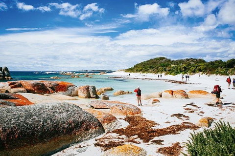 Wineglass Bay Private Charter Service - Accommodation Redcliffe 3