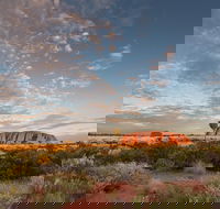 Uluru Kata Tjuta and Kings Canyon Camping Safari from Alice Springs - Accommodation Redcliffe