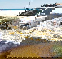 Full-Day Moreton Island 4x4 Sightseeing Tour - Accommodation Redcliffe
