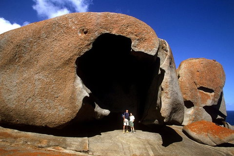 Full-Day Kangaroo Island Safari From Penneshaw - Accommodation Redcliffe 0