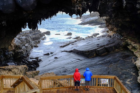 Full-Day Kangaroo Island Safari From Penneshaw - Accommodation Redcliffe 1