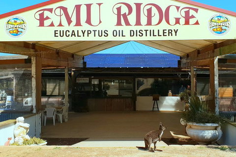 Full-Day Kangaroo Island Safari From Penneshaw - Accommodation Redcliffe 2