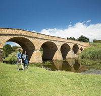 Bonorong Wildlife Park and Richmond Afternoon Tour from Hobart - Accommodation Redcliffe