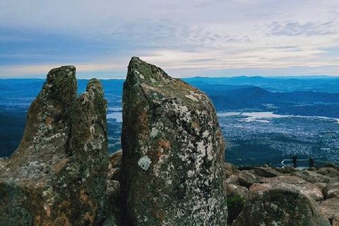 Mt Wellington Tour And MONA Admission - Accommodation Redcliffe 2