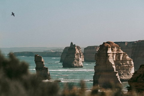 Half-Day Or Full-Day Tour With Private Guide From Melbourne - Accommodation Redcliffe 0