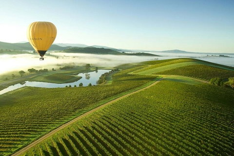 Half-Day Or Full-Day Tour With Private Guide From Melbourne - Accommodation Redcliffe 4