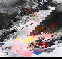 Barron Gorge National Park Half-Day White Water Rafting from Cairns or Port Douglas - Accommodation Redcliffe