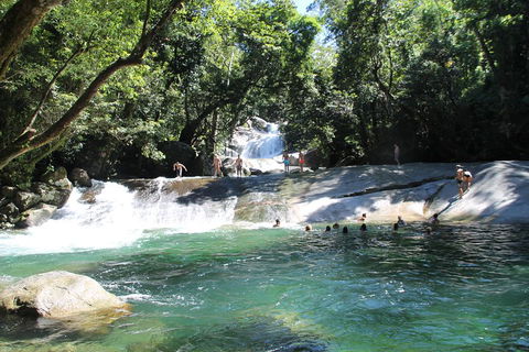 Double Pack-Ancient Rainforest And Waterfalls! - Accommodation Redcliffe 2