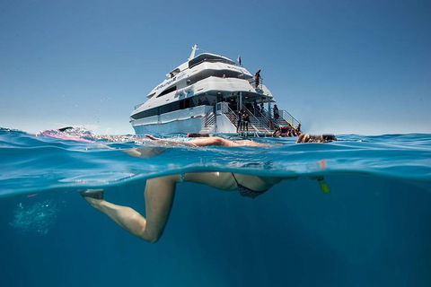3 Day Great Barrier Reef, Daintree Rainforest And Outback Chillagoe Tour - Accommodation Redcliffe 0