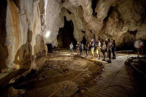 3 Day Great Barrier Reef, Daintree Rainforest And Outback Chillagoe Tour - Accommodation Redcliffe 1