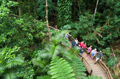 3 Day Great Barrier Reef, Daintree Rainforest And Outback Chillagoe Tour - Accommodation Redcliffe 2