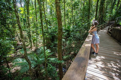 3 Day Great Barrier Reef, Daintree Rainforest And Outback Chillagoe Tour - Accommodation Redcliffe 3