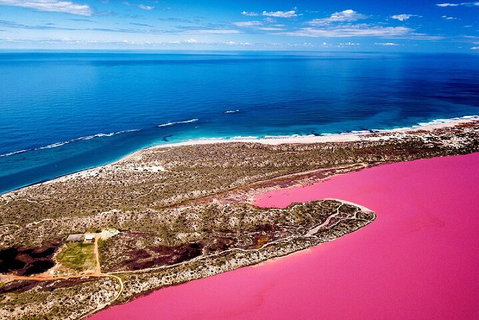 Pink Lake Small-Group Buggy Tour - Accommodation Redcliffe 0