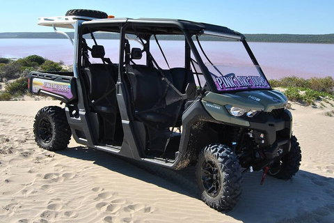 Pink Lake Small-Group Buggy Tour - Accommodation Redcliffe 1