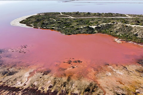Pink Lake Small-Group Buggy Tour - Accommodation Redcliffe 2