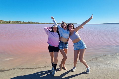 Pink Lake Small-Group Buggy Tour - Accommodation Redcliffe 3