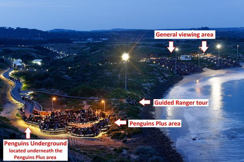 Phillip Island Penguin, Brighton Beach, Moonlit Sanctuary From Melbourne - Accommodation Redcliffe 4