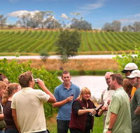 Yarra Valley Wine and Winery Tour from Melbourne - Accommodation Redcliffe