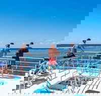 Calypso Outer Great Barrier Reef Cruise from Port Douglas - Accommodation Redcliffe