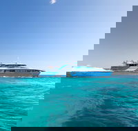 Fremantle to Rottnest Island Roundtrip Ferry Ticket - Accommodation Redcliffe