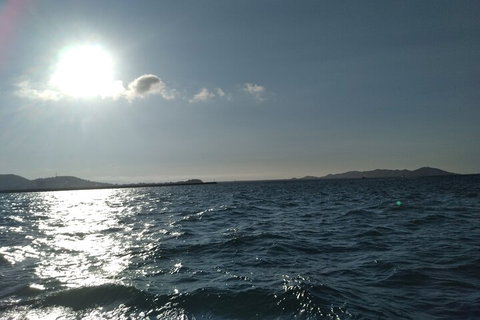 Townsville Small Group Early Morning Sailing Cruise Boat Tour Charter Hire - Accommodation Redcliffe 4