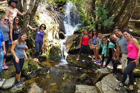 7-Day Super Value Tour Of Tasmania: Explore Tasmania's West And East Coasts - Accommodation Redcliffe 2