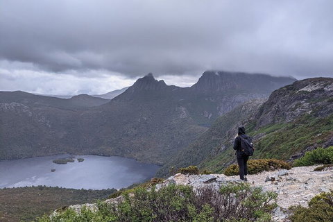 5-Day Best Of Tasmania Tour From Hobart - Accommodation Redcliffe 3