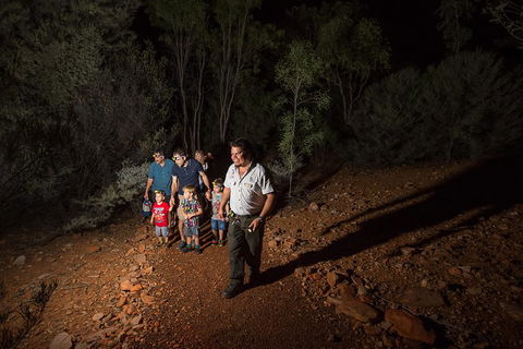 Alice Springs Desert Park Nocturnal Tour - Accommodation Redcliffe 0