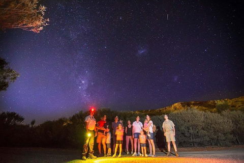 Alice Springs Desert Park Nocturnal Tour - Accommodation Redcliffe 2