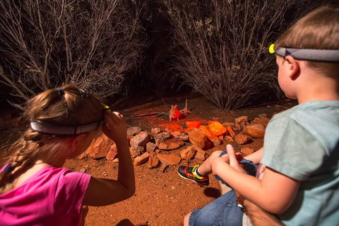 Alice Springs Desert Park Nocturnal Tour - Accommodation Redcliffe 4
