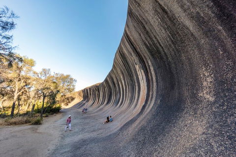 Full-Day Wave Rock & Historic York - Accommodation Redcliffe 0