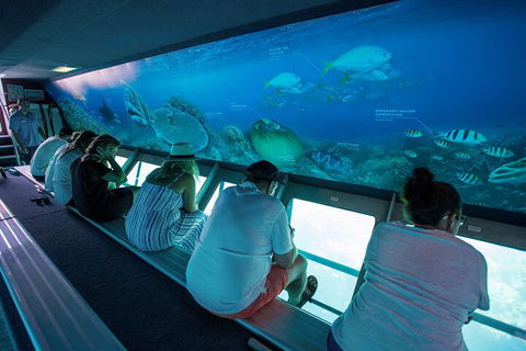 Great Barrier Reef Day Cruise To Reefworld - Accommodation Redcliffe 0