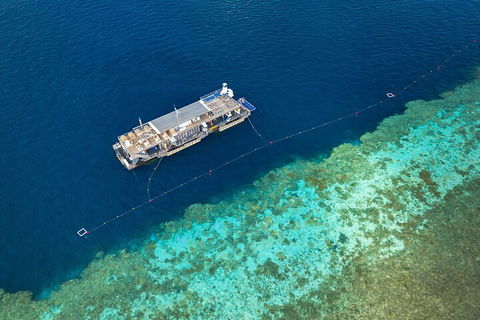 Great Barrier Reef Day Cruise To Reefworld - Accommodation Redcliffe 2