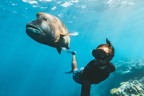 Great Barrier Reef Day Cruise To Reefworld - Accommodation Redcliffe 3